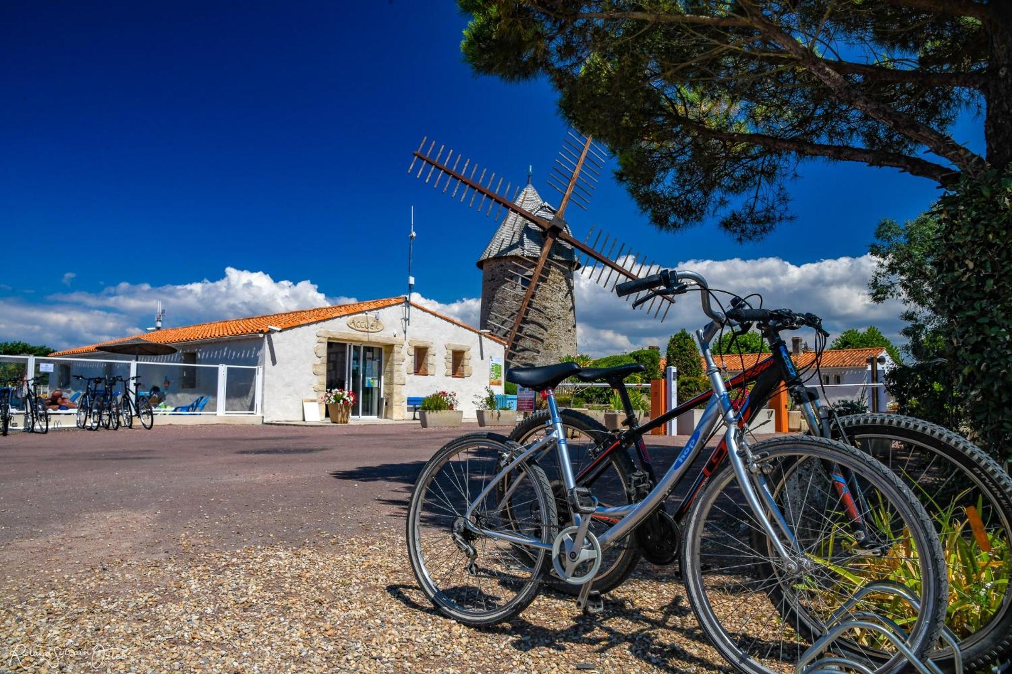 Camping Le Moulin De La Salle Les Sables-dʼOlonne Zewnętrze zdjęcie
